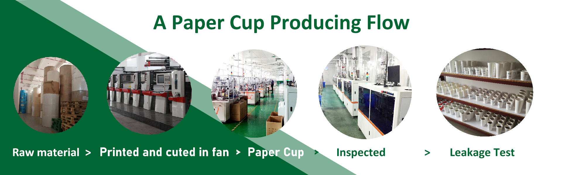 ถ้วยกระดาษถ้วยกระดาษทิ้งถ้วยกระดาษ,xinhua paper cup factory